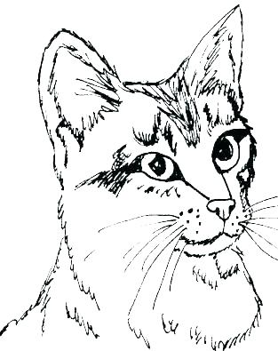 Cute Kittens Coloring Pages Puppy And Kitten Coloring Sheets 313x395 Cute Kittens Coloring Pages Puppy And Kitten Coloring Sheets