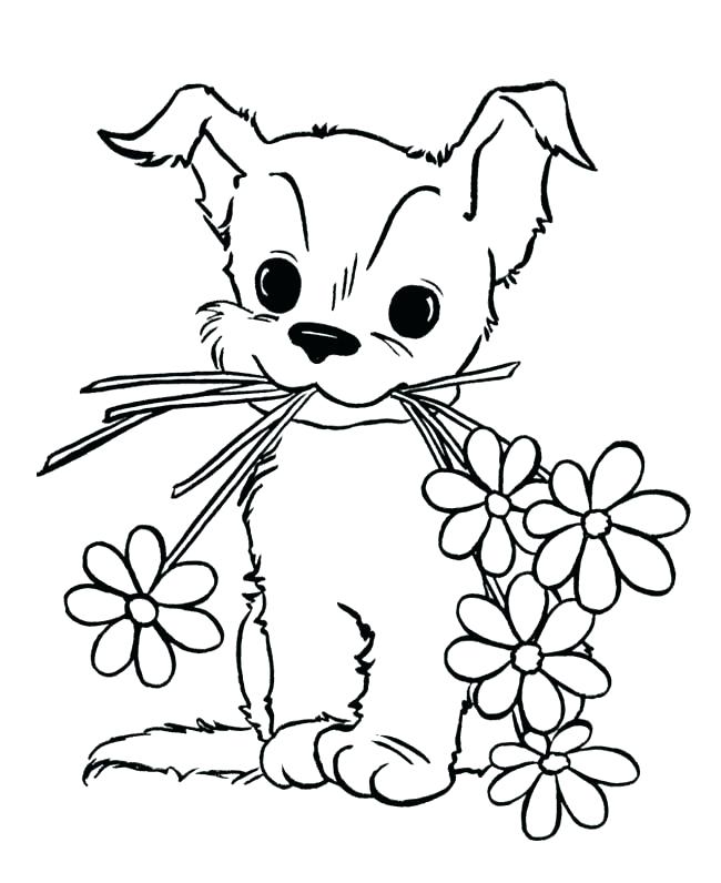 Wolf Pup Coloring Pages Puppy Pics To Color Puppy Coloring Page 650x796 Wolf Pup Coloring Pages Puppy Pics To Color Puppy Coloring Page