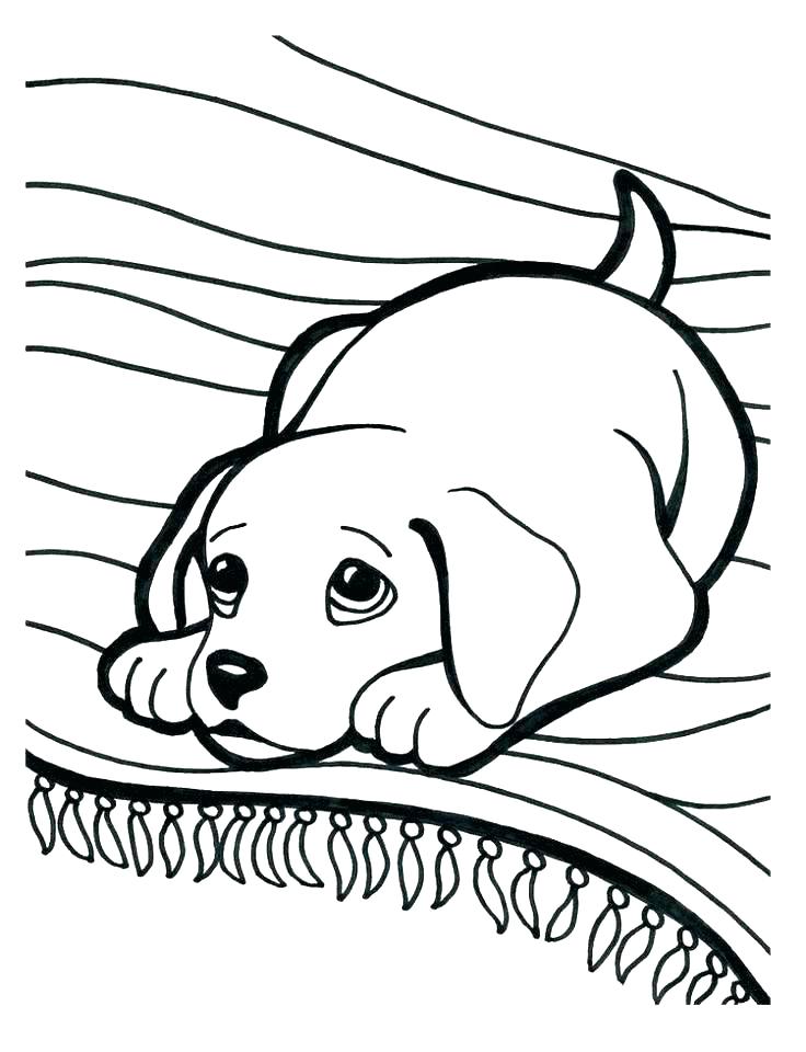 Cartoon Puppy Coloring Pages Puppies Coloring Page Puppy Dog 736x960 Cartoon Puppy Coloring Pages Puppies Coloring Page Puppy Dog