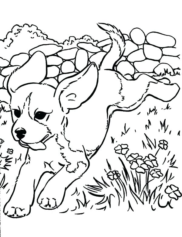 Coloring Pages Of Puppys Best Puppy Coloring Pages Ideas On Dog 600x780 Coloring Pages Of Puppys Best Puppy Coloring Pages Ideas On Dog