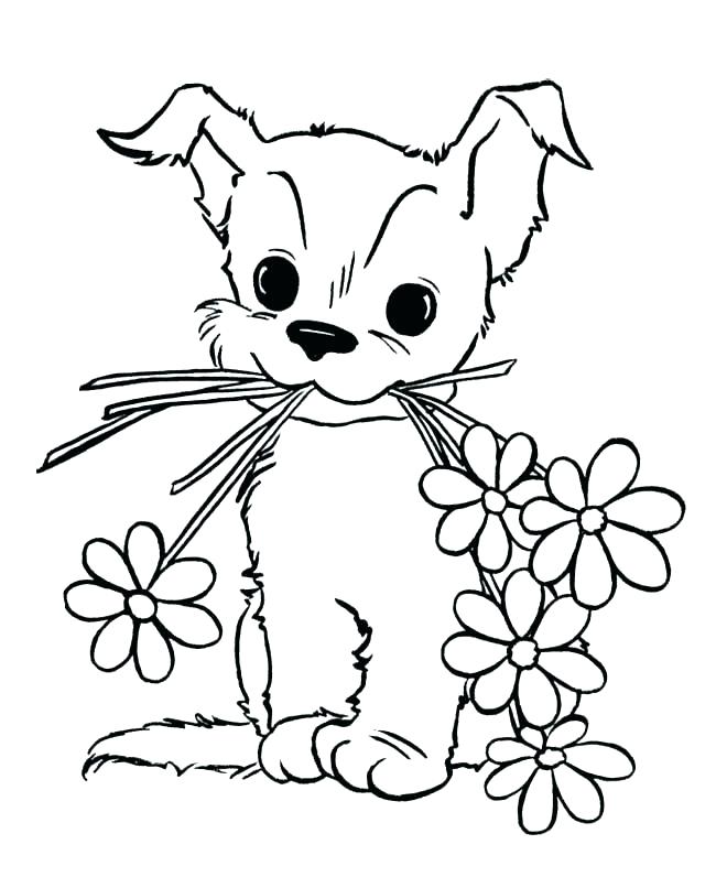 Pug Coloring Pages For Adults Pug Coloring Page Puppy Colouring 650x796 Pug Coloring Pages For Adults Pug Coloring Page Puppy Colouring