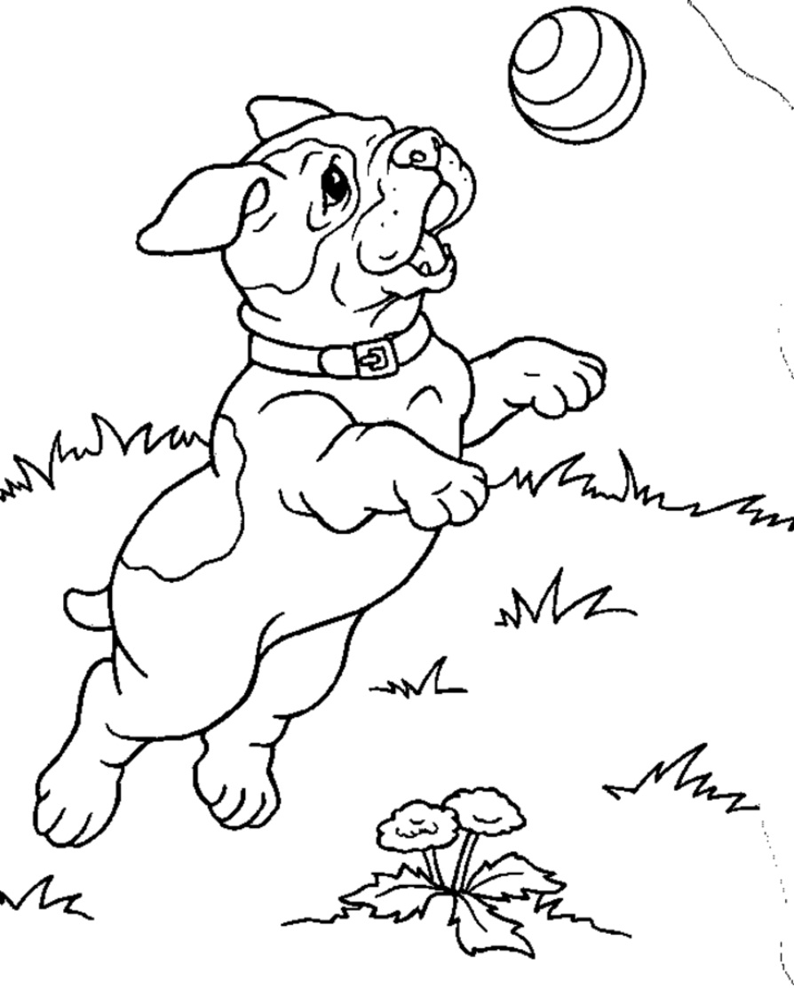 894x1122 Free Printable Puppies Coloring Pages For Kids
