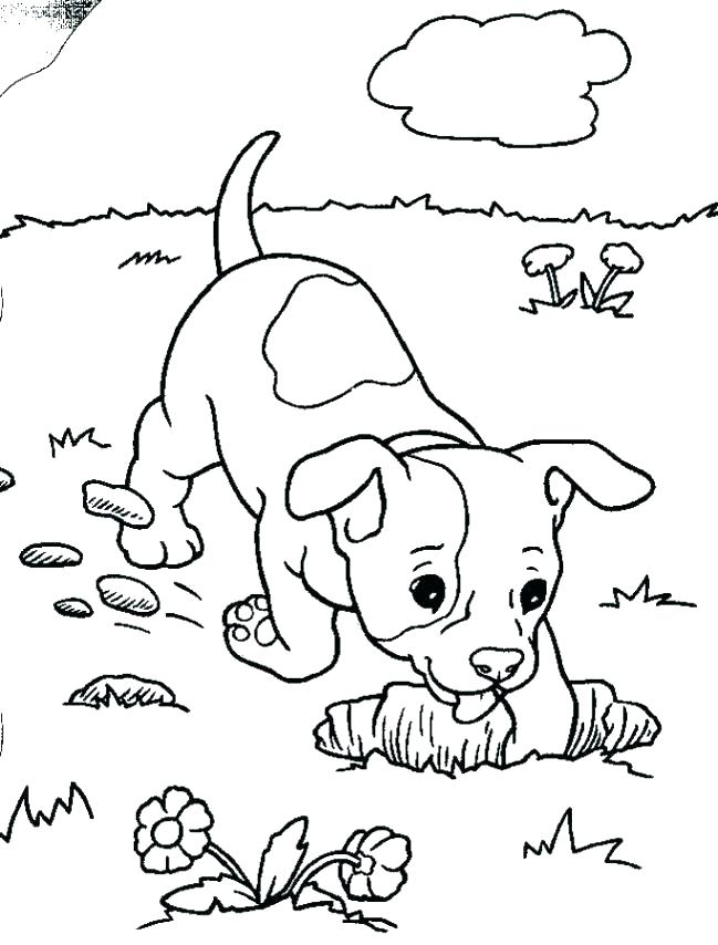 649x854 Badger Coloring Pages Free Coloring Pages Puppies Coloring Pages