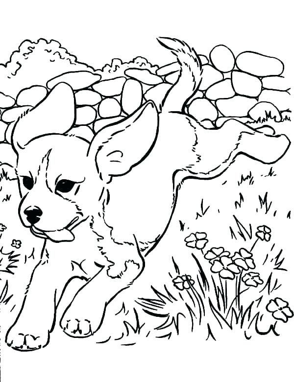 600x780 Puppy Coloring Pages Puppy Coloring Puppy Coloring Pages Pet