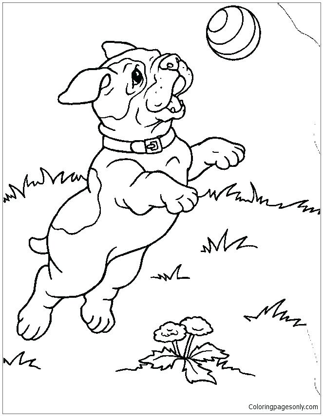 663x855 Dachshund Coloring Page Miniature Dachshund Coloring Pages Kids