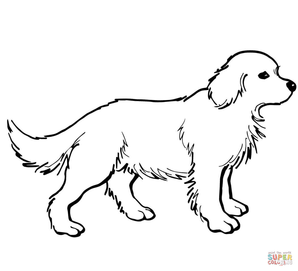 Wonderful Golden Retriever Coloring Pages Coloring To Good Golden 1168x1064 Wonderful Golden Retriever Coloring Pages Coloring To Good Golden