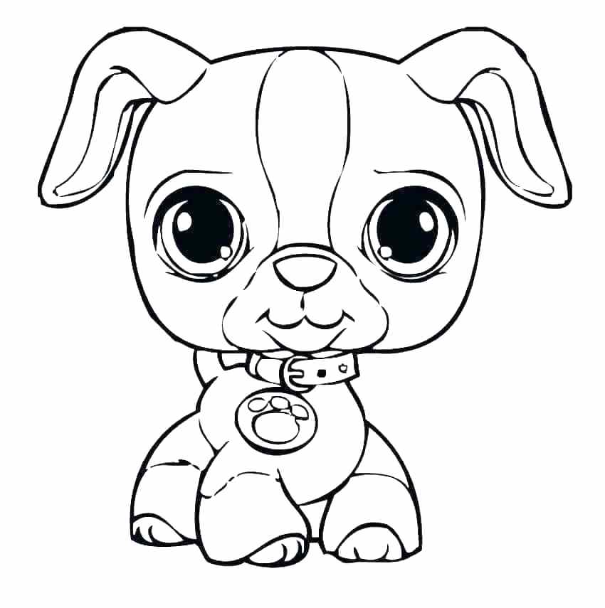Coloring Cartoon Puppy Coloring Pages Printable Books In Addition 850x855 Coloring Cartoon Puppy Coloring Pages Printable Books In Addition