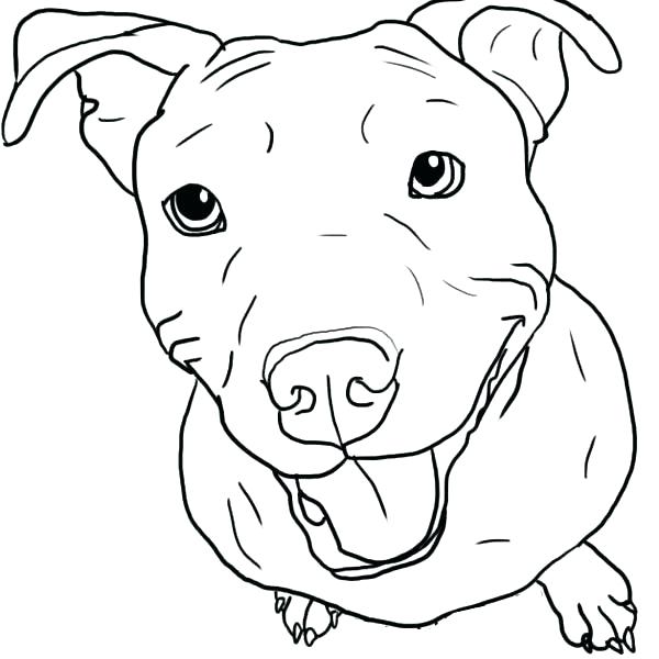 600x600 Puppy Printable Coloring Pages The Pups Playing Puppy Coloring