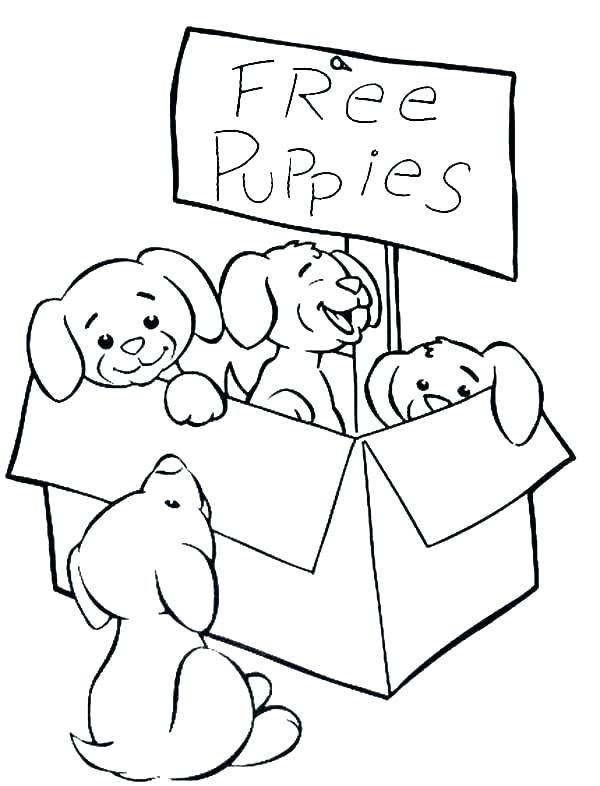 Puppy Coloring Pages To Print Out Puppy Color Page Best Coloring 600x786 Puppy Coloring Pages To Print Out Puppy Color Page Best Coloring
