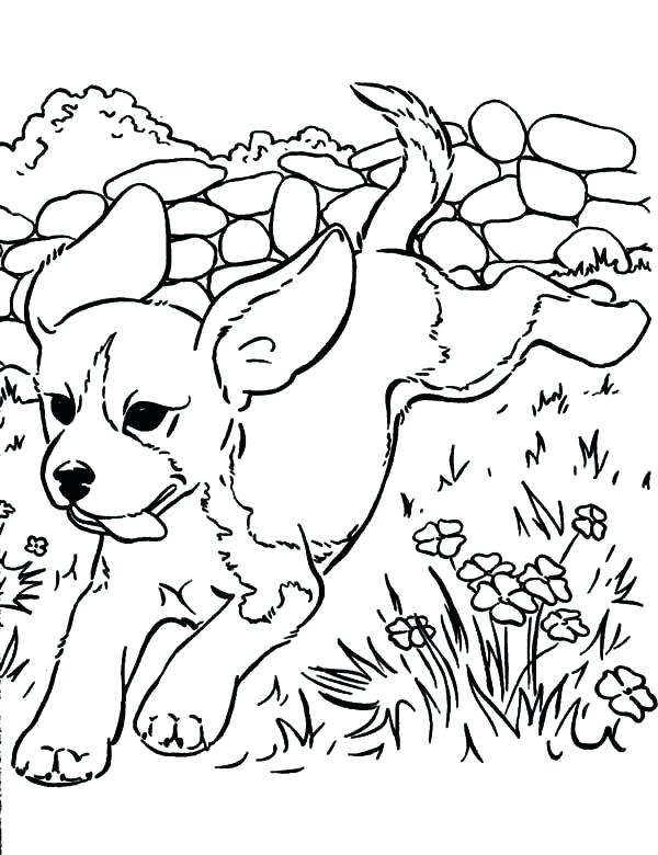 Puppy Pictures To Color And Print Cute Puppy Coloring Pages 600x780 Puppy Pictures To Color And Print Cute Puppy Coloring Pages