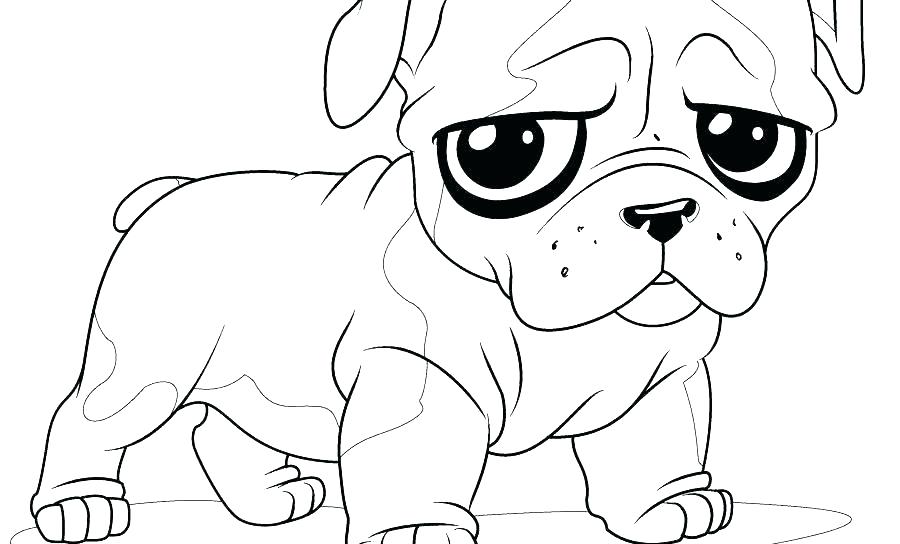 900x544 Dog Breed Coloring Pages Dog And Cat Coloring Pages Printable