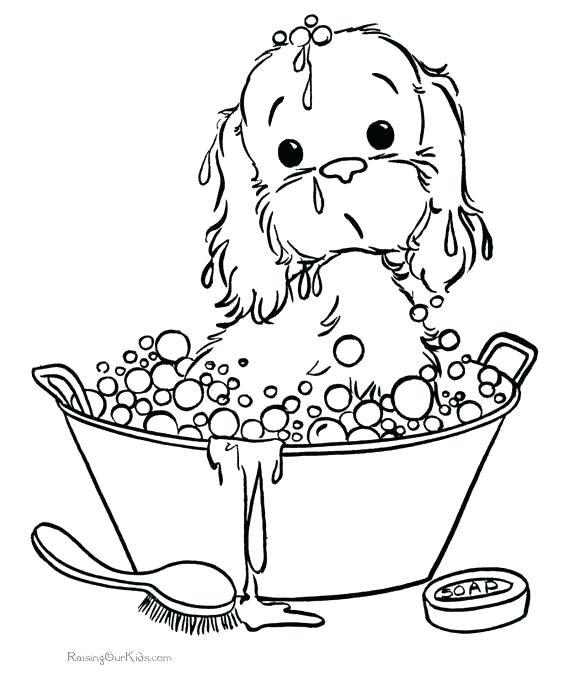 564x690 Coloring Pages For Puppies Puppy Dog Pals Sheets As Well