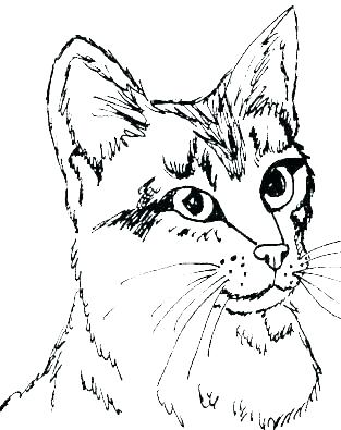 313x395 Coloring Pages Kittens New Free Cat Coloring Pages Kids Puppy Love