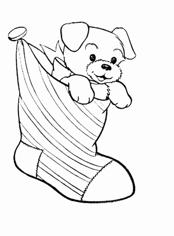 Coloring Book And Pages Awesome Puppy Coloring Pages Photo Ideas 728x986 Coloring Book And Pages Awesome Puppy Coloring Pages Photo Ideas