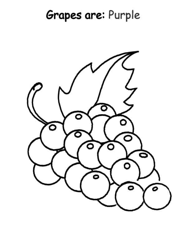 600x776 Purple Coloring Pages Grapes Are Purple Coloring Pages Color Luna