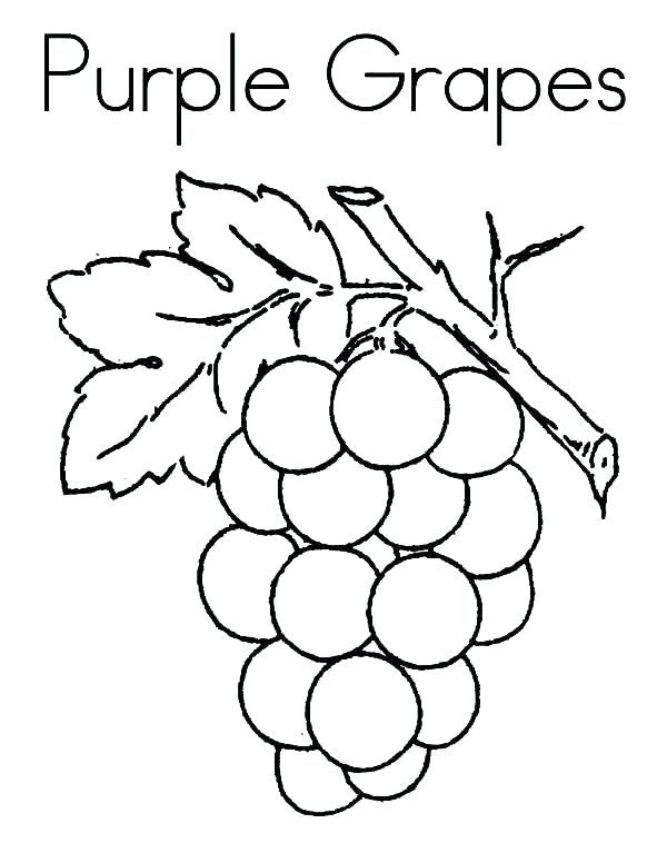 Grapes Coloring Page Grapes Mature Fruit Coloring Pages Preschool 600x776 Grapes Coloring Page Grapes Mature Fruit Coloring Pages Preschool