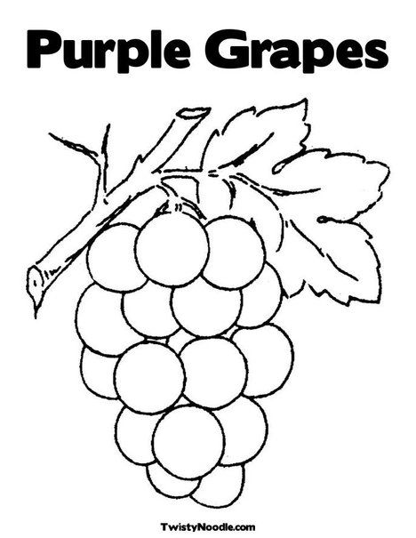 Purple Grapes Coloring Page From Printable 468x605 Purple Grapes Coloring Page From Printable