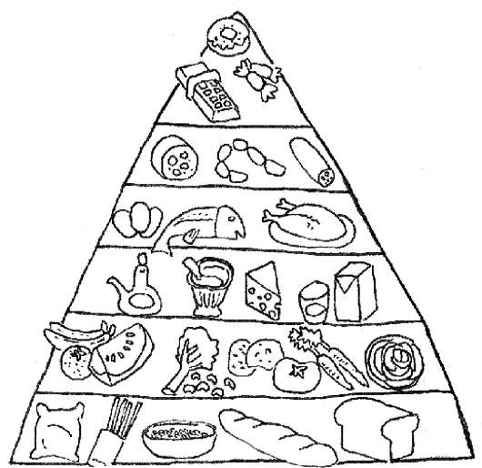 530x514 Food Pyramid With Fish And Other Ingredients Coloring Page