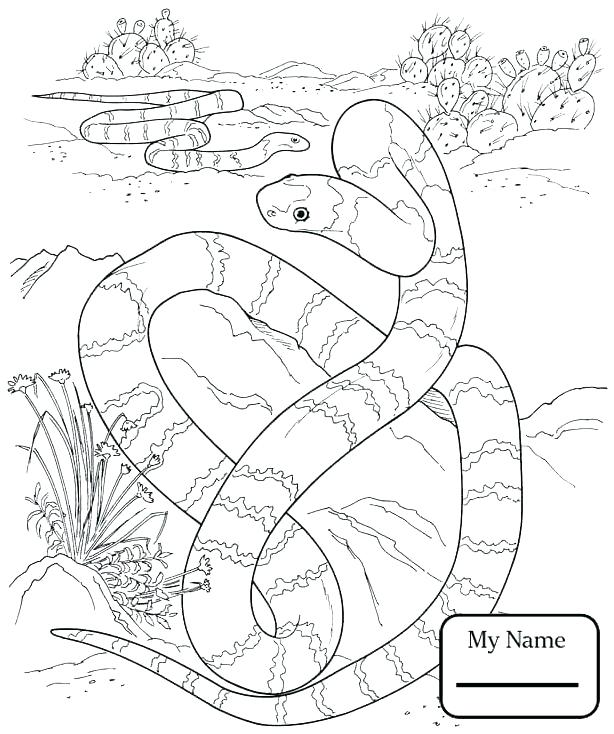 Python Coloring Pages at GetColorings.com | Free printable colorings ...