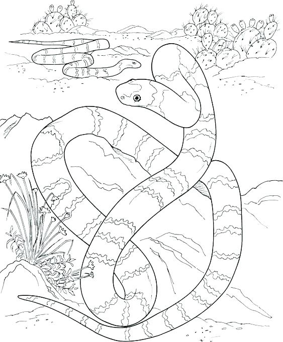 Python Coloring Pages at GetColorings.com | Free printable colorings ...