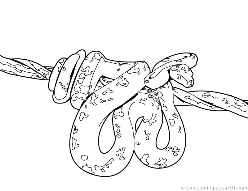 800x618 Pixie Coloring Pages Colouring Page 2 Pop Cherie Coloring Collection