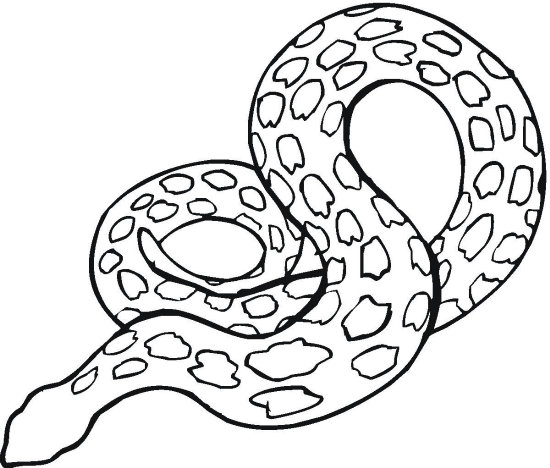 Python Coloring Pages at GetColorings.com | Free printable colorings ...