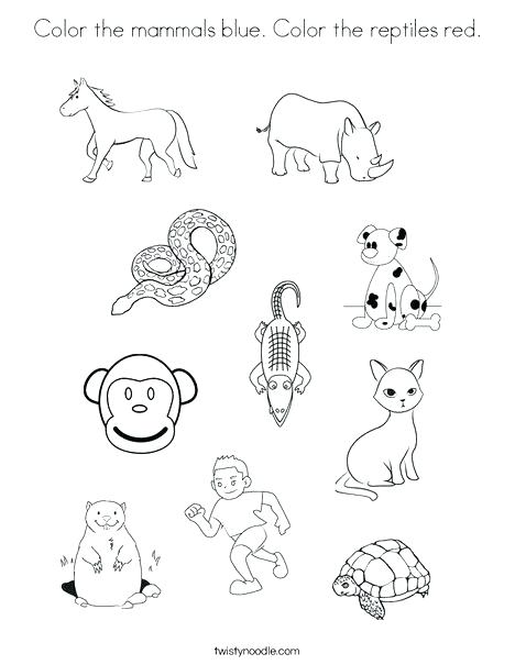 Python Coloring Pages at GetColorings.com | Free printable colorings ...