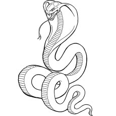 230x230 Snake Coloring Pages Coloring Python Snake Printable Coloring Pages