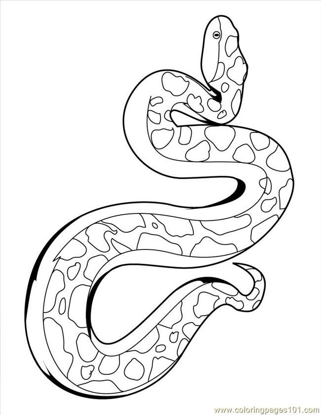 650x840 Anaconda Coloring Page Coloring Pages Snake23 (Reptile Gt Snake