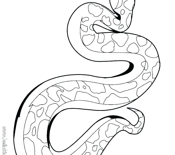 678x600 Ball Python Coloring Pages Black Mamba Coloring Pages Ball Python