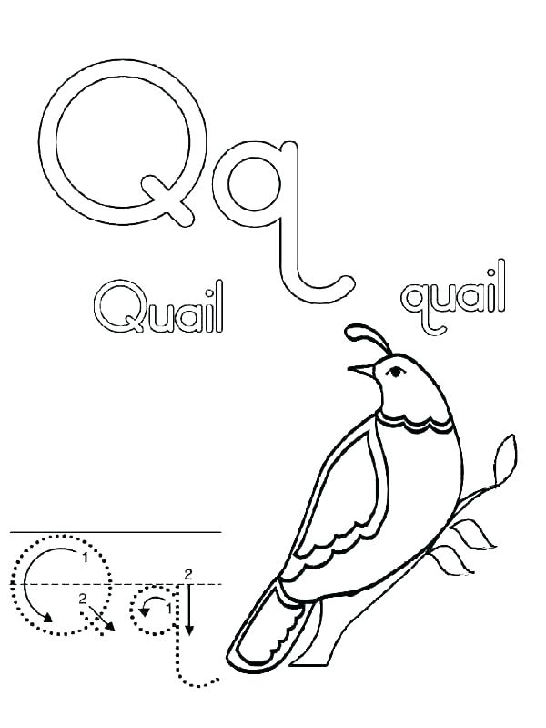 600x799 Letter Q Coloring Page Letter Q Coloring Page Letter Q Coloring