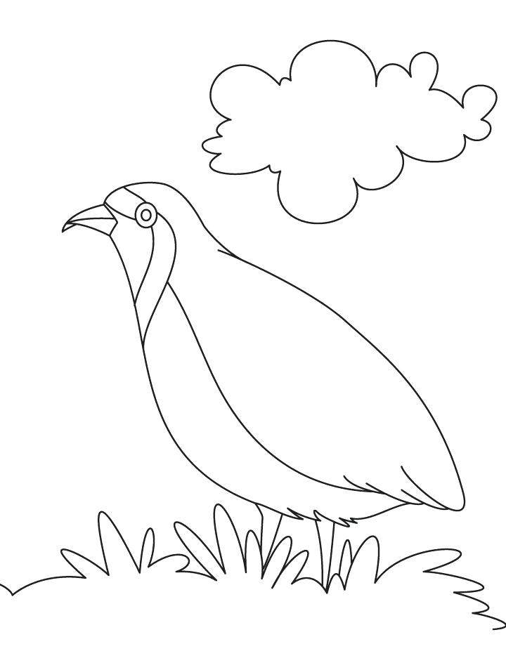 Quail Coloring Page Partridge A Hungry Coloring Page God Sends 720x954 Quail Coloring Page Partridge A Hungry Coloring Page God Sends