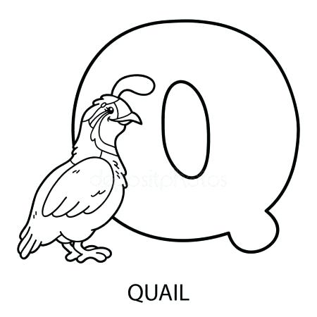 Quail Coloring Page Quail Coloring Page Click To See Printable 450x450 Quail Coloring Page Quail Coloring Page Click To See Printable