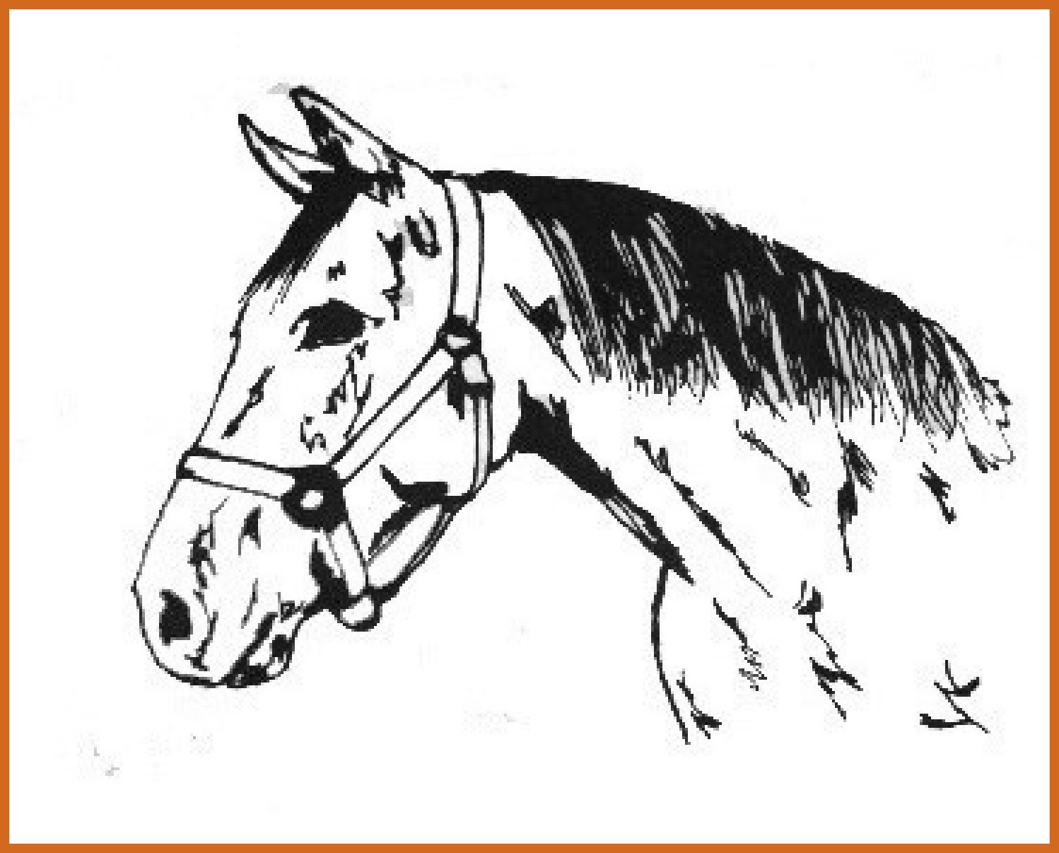 Marvelous Quarter Horse Coloring Pages Picture For Running Style 1498x1206 Marvelous Quarter Horse Coloring Pages Picture For Running Style