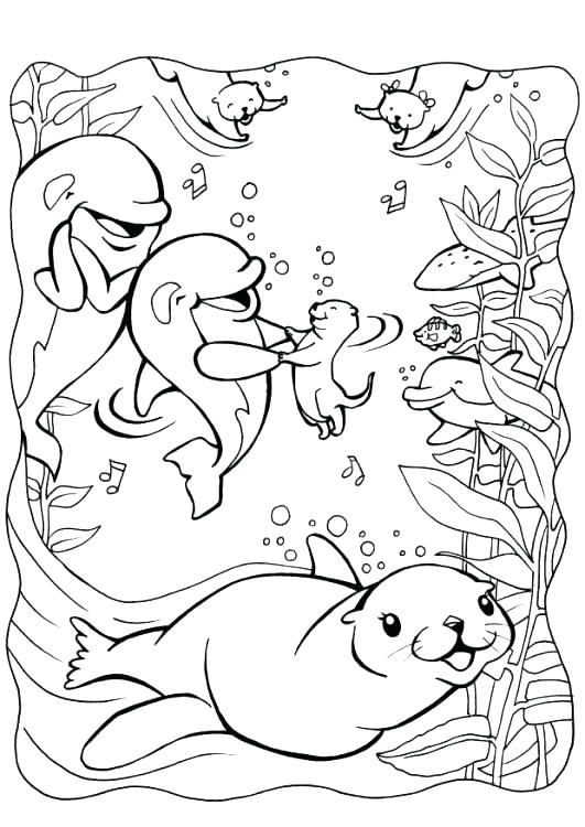 531x750 Otter Coloring Page Otter Coloring Pages Dolphin And Otters Free
