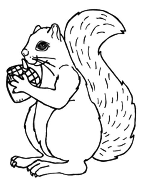 474x610 Q For Quill And Queen Coloring Pages Pattern Design Ideas
