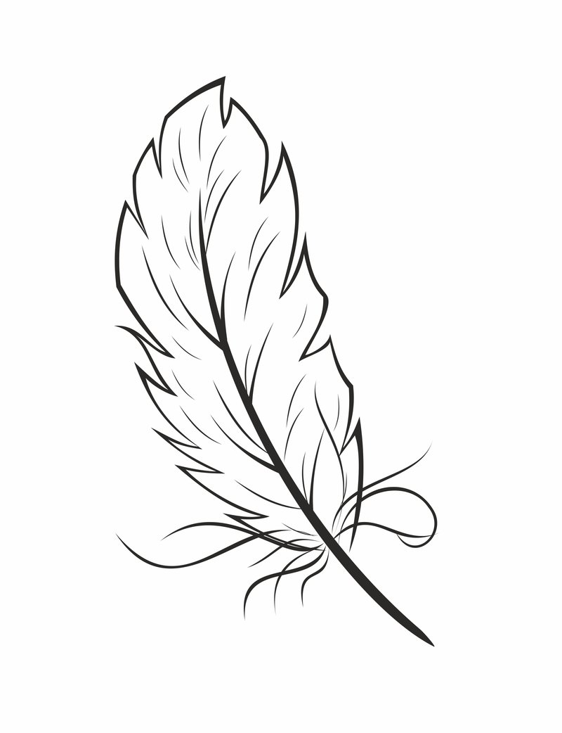 800x1042 Enjoyable Feather Pictures To Color Indian Coloring Page Home In 6