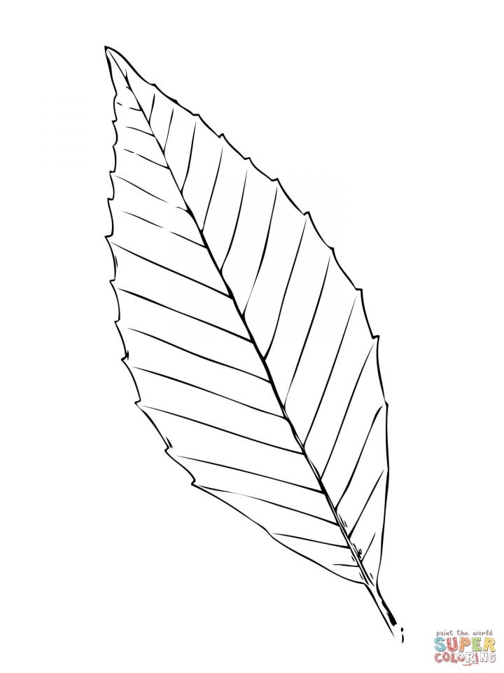 720x960 Get This Leaf Coloring Pages Free To Print 97381 !