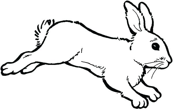 600x383 Printable Bunny Coloring Pages Bunny Coloring Page Bunny Color