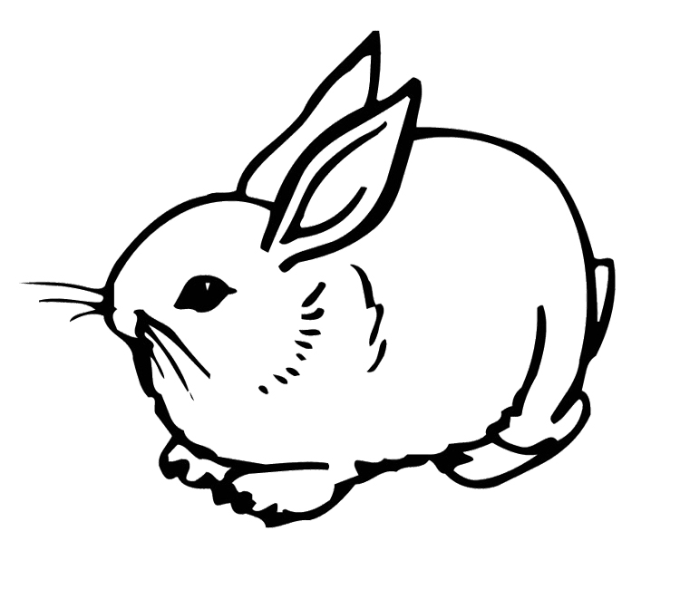 Cute Bunny Coloring Pages To Download And Print For Free 750x661 Cute Bunny Coloring Pages To Download And Print For Free