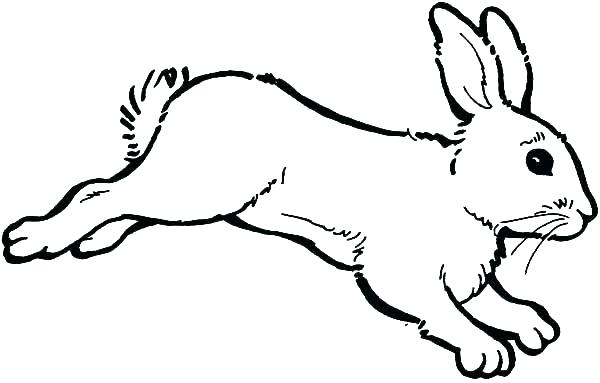 Easter Bunny Coloring Pages For Adults Bunny Rabbit Coloring Pages 600x383 Easter Bunny Coloring Pages For Adults Bunny Rabbit Coloring Pages