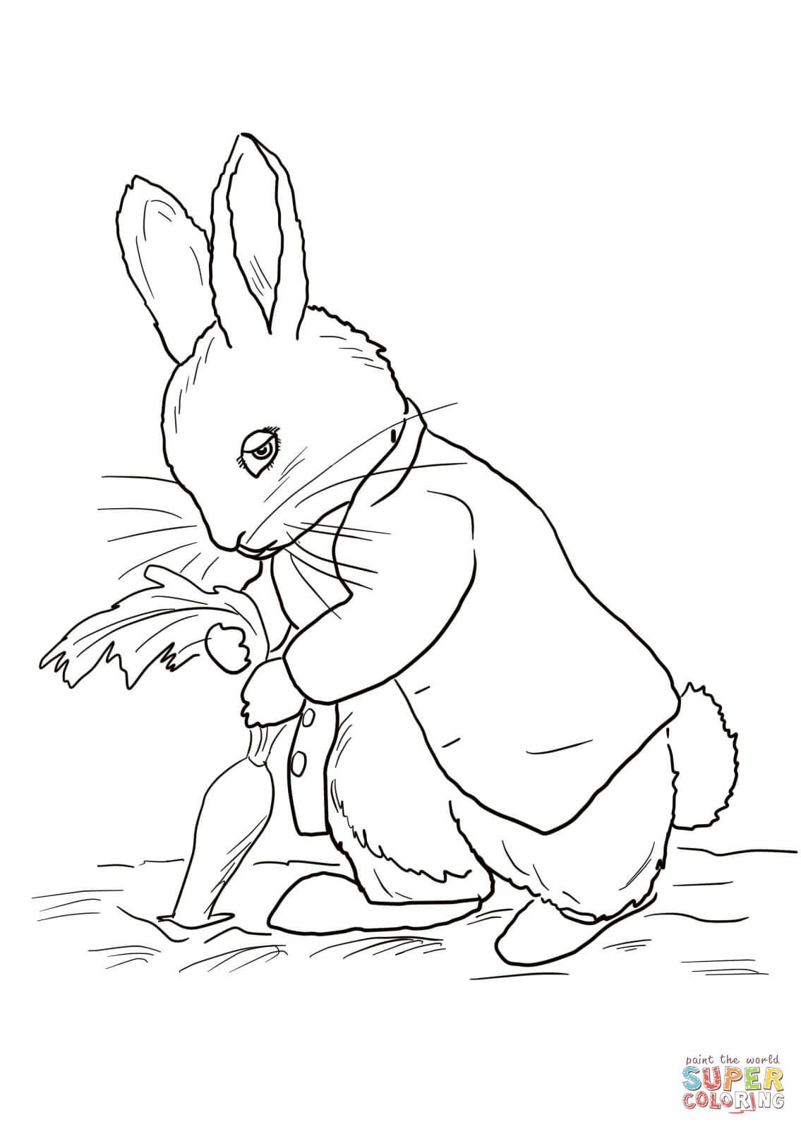 Peter Rabbit Coloring Pages Coloringtop Com Embroidery Animals 1135x1600 Peter Rabbit Coloring Pages Coloringtop Com Embroidery Animals