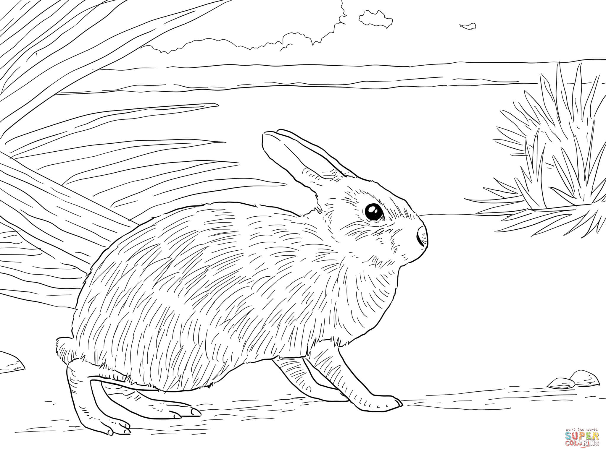 Pretentious Idea Rabbit Coloring Pages Rabbits Free 2048x1536 Pretentious Idea Rabbit Coloring Pages Rabbits Free