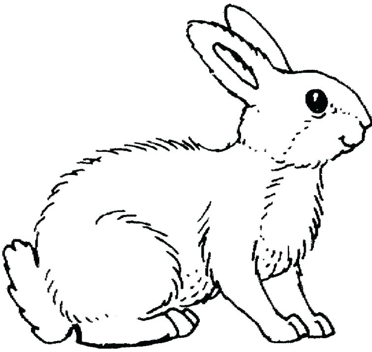 Rabbit Coloring Pages Astonishing 756x716 Rabbit Coloring Pages Astonishing