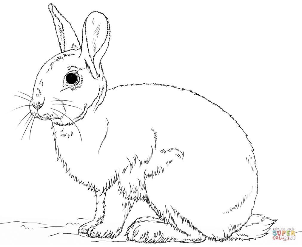 Awesome Rabbit Coloring Pages Coloring Pages Free Coloring Pages 1012x830 Awesome Rabbit Coloring Pages Coloring Pages Free Coloring Pages