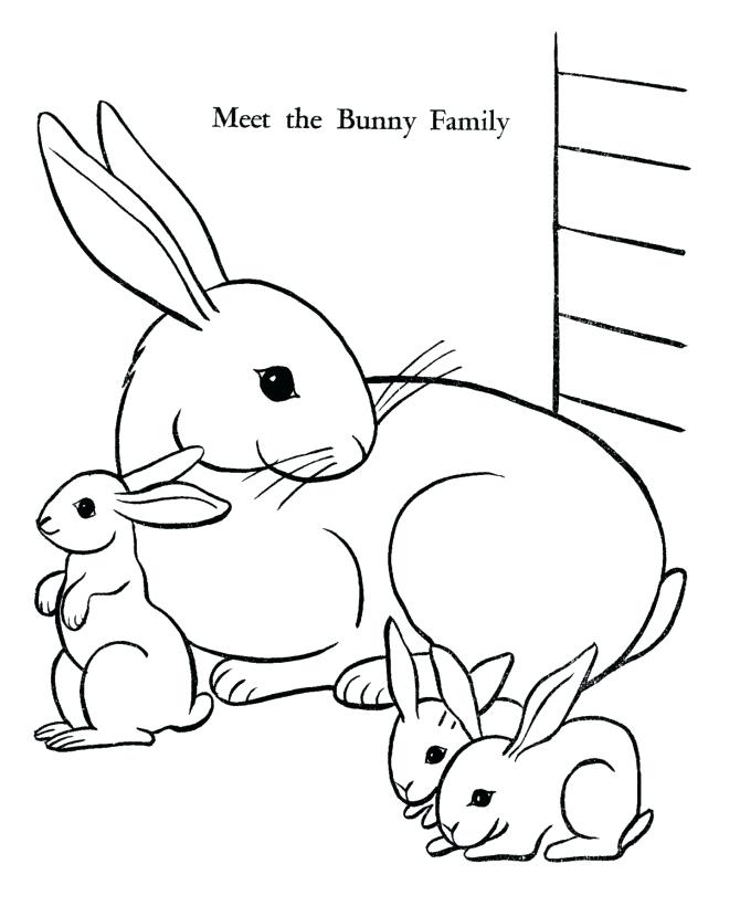 670x820 Rabbit Coat Colors Pictures Kids Coloring Free Bunny Coloring Page