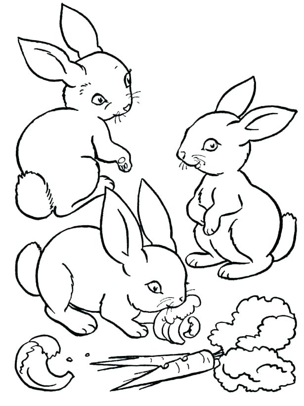 Rabbit Coloring Pages For Kids at GetColorings.com | Free printable ... Rabbit Coloring Pages For Kids at GetColorings.com | Free printable ...