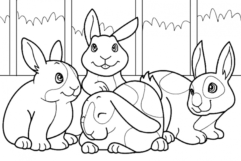 Rabbit Coloring Pages Free Printable