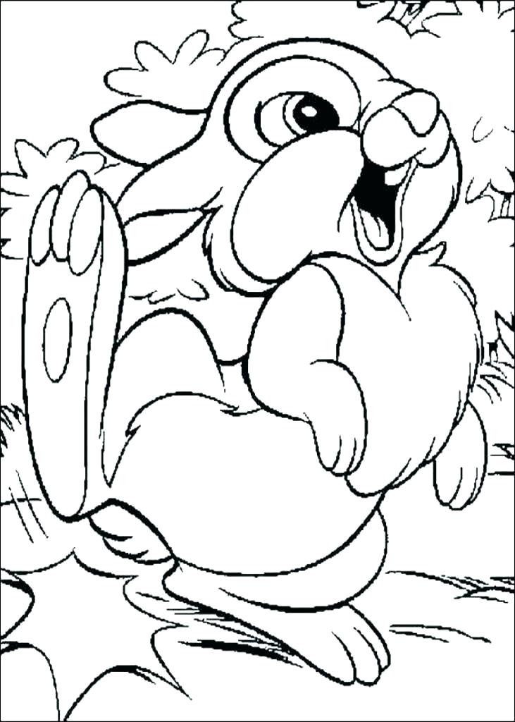 Baby Rabbit Coloring Pages Bunny Printable Coloring Pages Bunny 731x1024 Baby Rabbit Coloring Pages Bunny Printable Coloring Pages Bunny