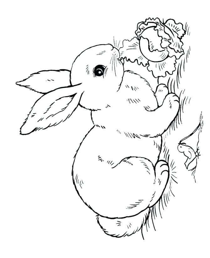 Coloring Pages Rabbit Entertaining Peter Rabbit Coloring Pages Fee 670x820 Coloring Pages Rabbit Entertaining Peter Rabbit Coloring Pages Fee